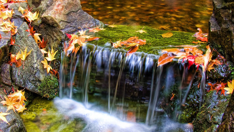 Beautiful water flowing over colourful stones, moss and leaves